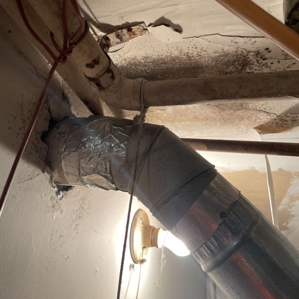 mold inspection in south jersey