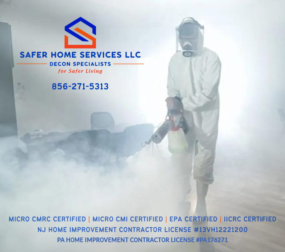 Safer Home Services Reviews - Clearwater, FL