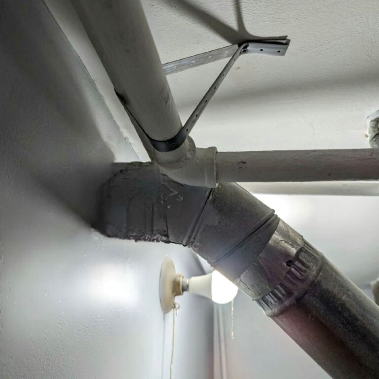 mold remediation in camden county