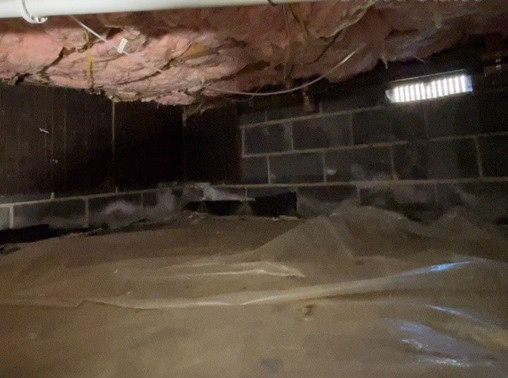 Damaged crawl space vapor barrier showing loose and displaced material